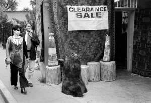 Santa Fe. Clearance Sale includes bison head on sidewalk.