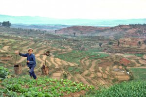 Farmer on terraced fields. China 1984