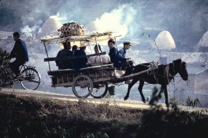 Horse and cart. China 1984