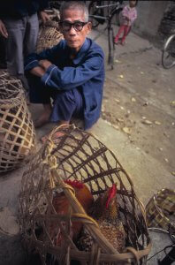 Man Selling chickens. China 1984.