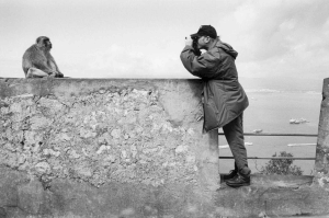 Man photographing a Barbary macaque, Gibraltar