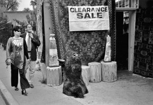 Santa Fe. Clearance Sale includes bison head on the sidewalk.